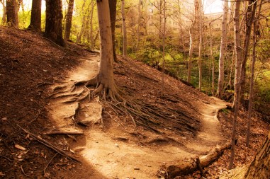 3455044234_6397794593_b